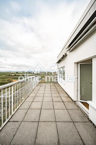 Dachterrasse mit Taunusblick