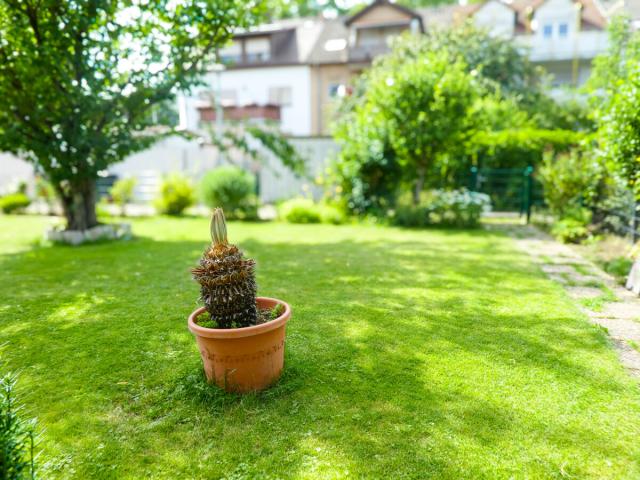 Garten