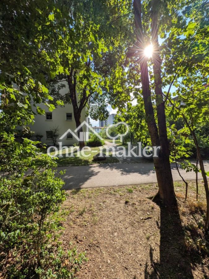 Weg am Waldstreifen