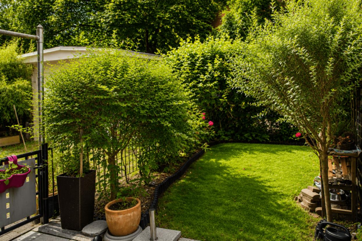 Garten