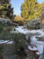 Garten im Winter