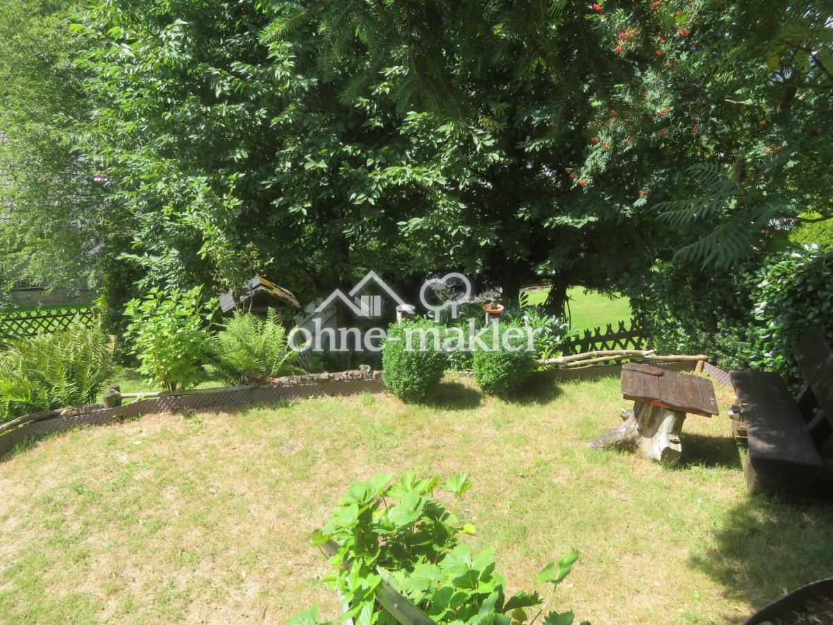 Blick in den Garten