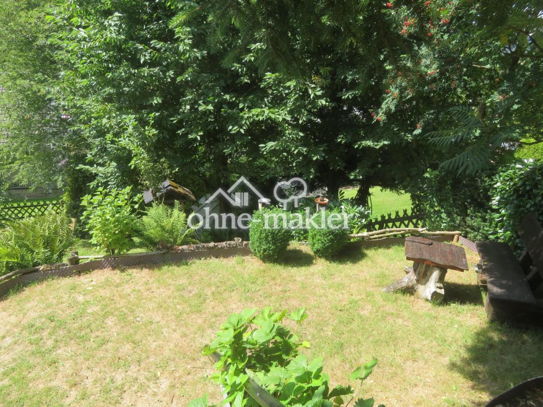 Blick in den Garten