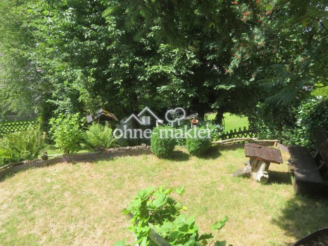 Blick in den Garten