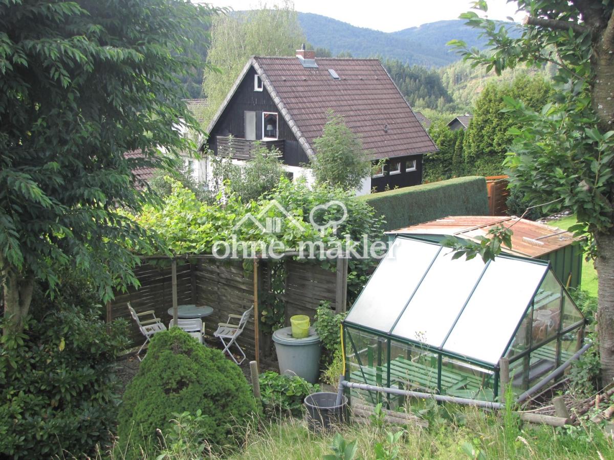Blick auf das Gewächshaus