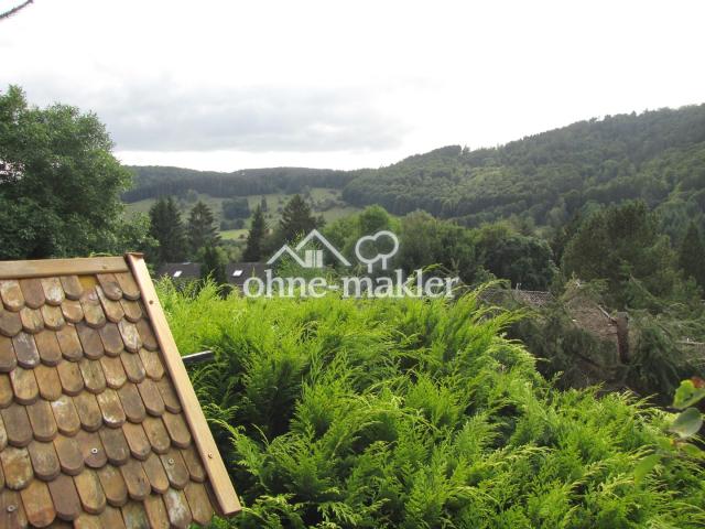 Blick ins tal links