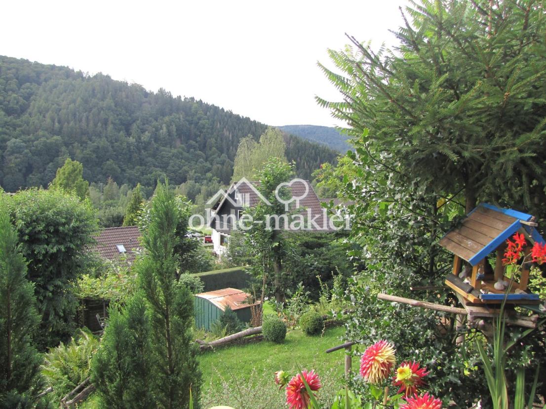 Blick ins tal rechts