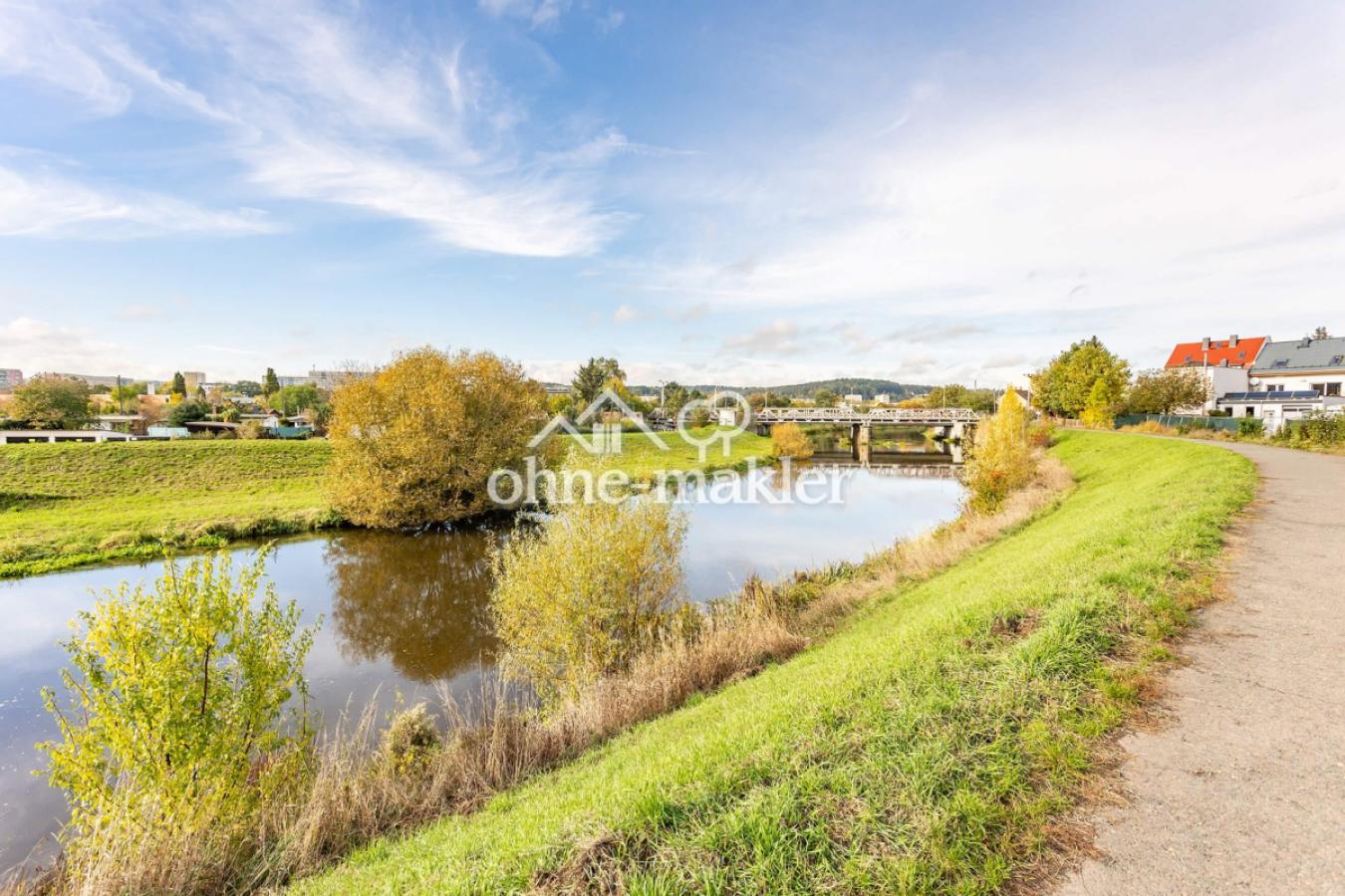 Weiße Elster