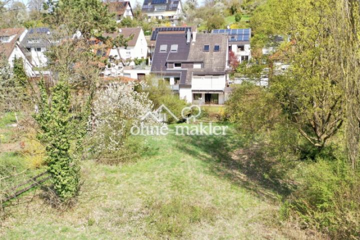 Blick von Wiese auf Haus