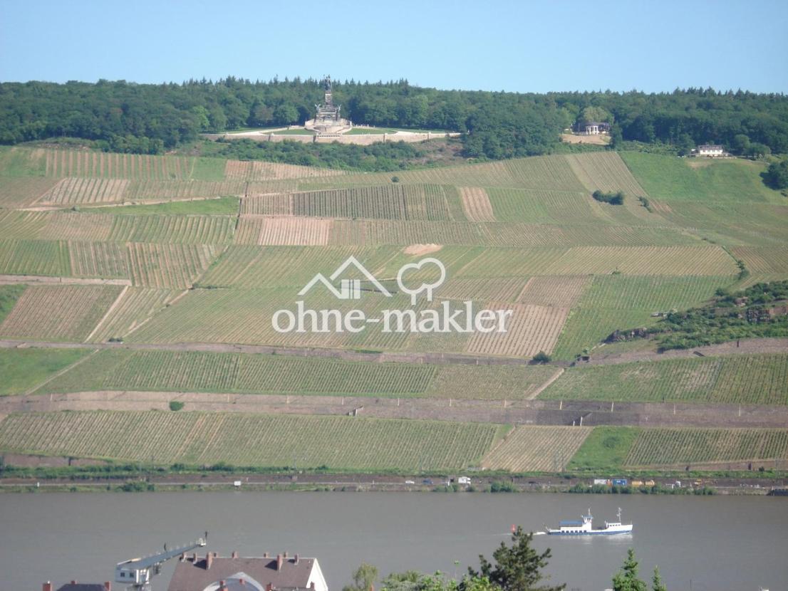 Blick Balkon zum N.-Denkmal