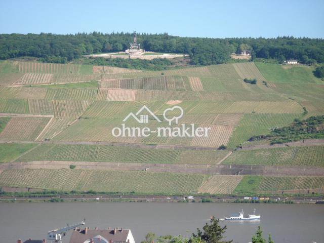 Blick Balkon zum N.-Denkmal