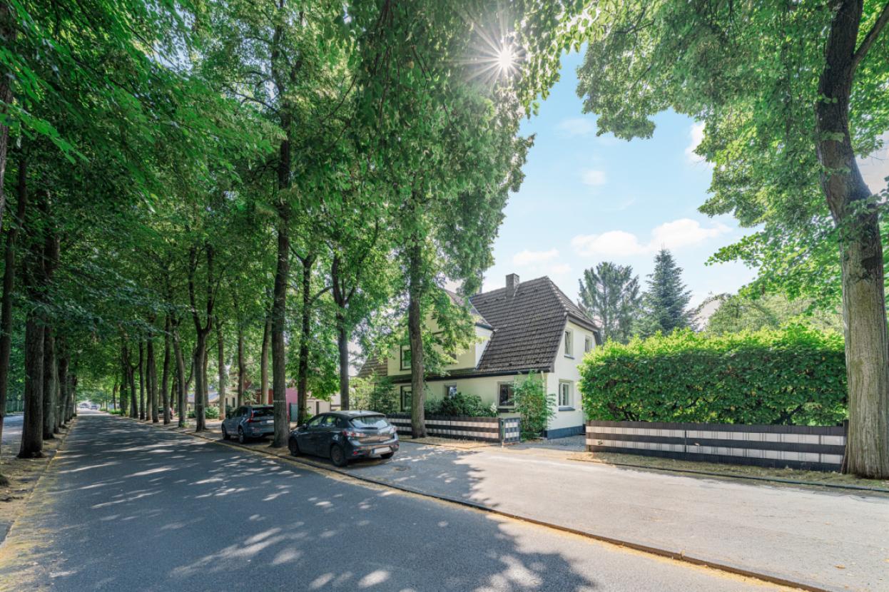 Allee-Charakter
