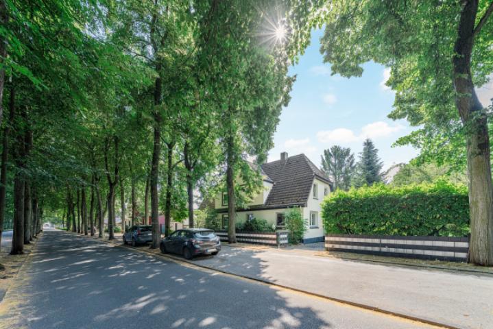 Allee-Charakter