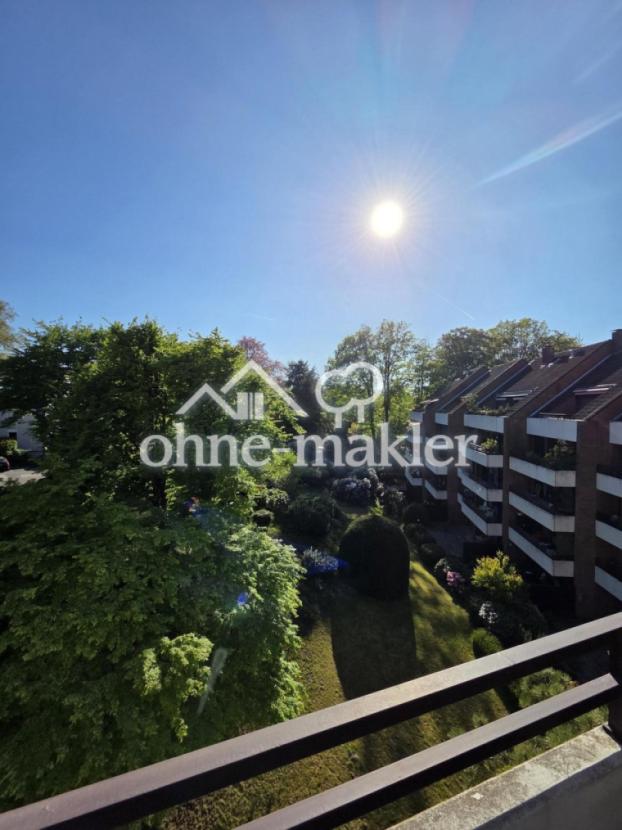 Blick ins Grüne