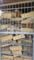 Holzgitter
