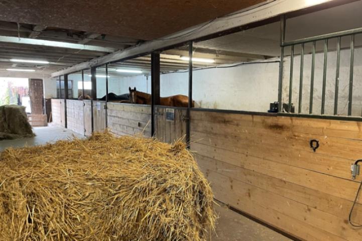 Stallboxen