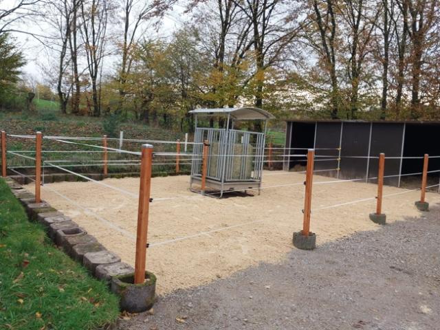 Paddock mit Offenstall