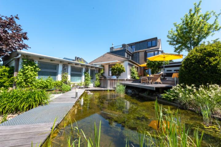 Ansicht Gesamt Garten