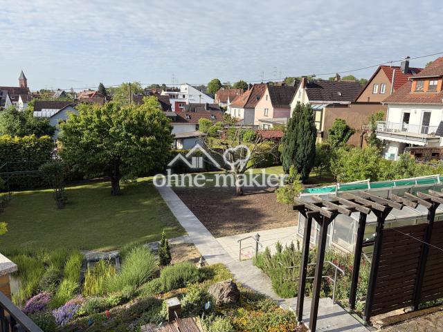 Blick in den Garten
