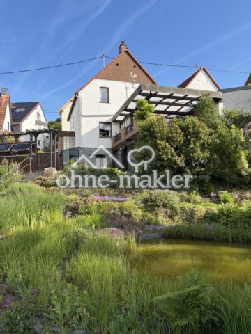 Haus mit Teich