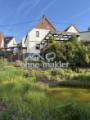 Haus mit Teich