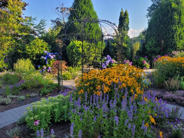 Garten im Sommer