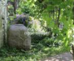 Im Garten