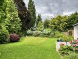 Gartenansicht Sommer