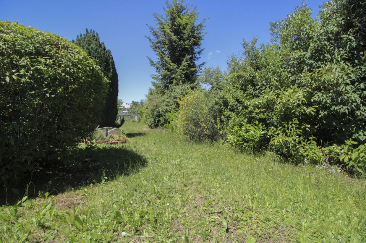 Garten hinten
