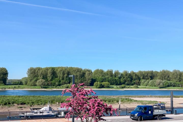 Blick vom Balkon