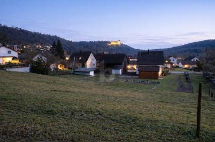 Bild