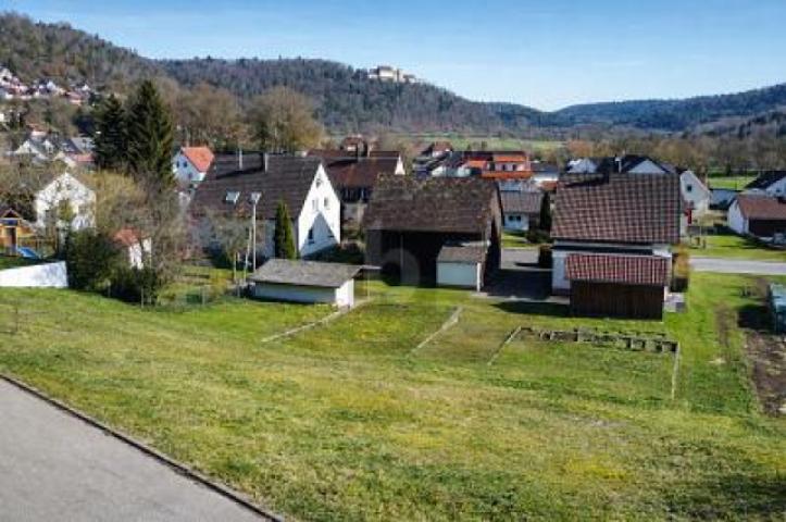 Bild
