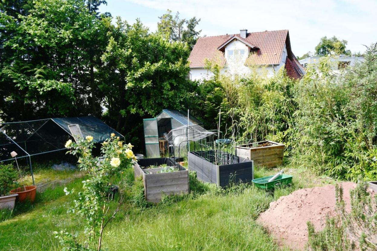 Grundstücksansicht