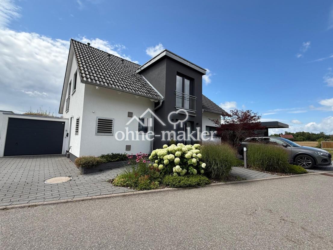 Zufahrt zur Garage