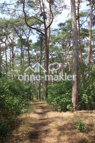 Wald