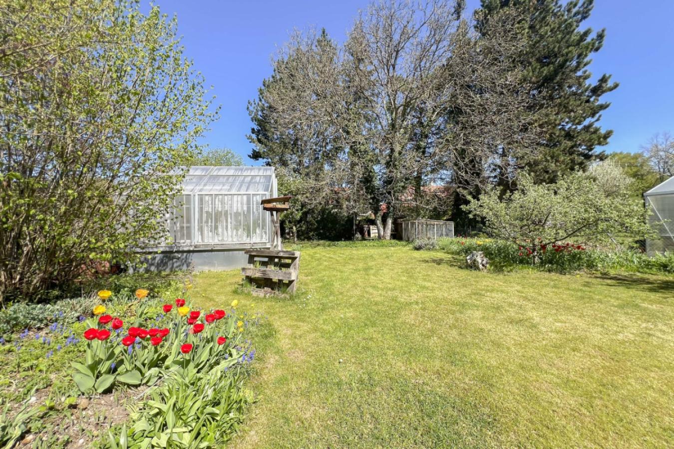 Garten Nordhälfte Frühjahr