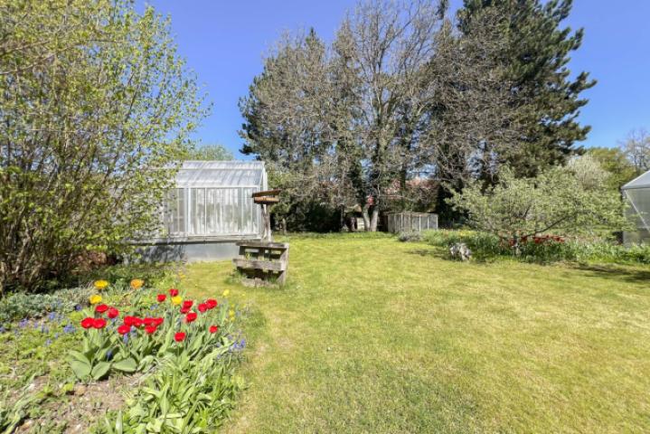 Garten Nordhälfte Frühjahr