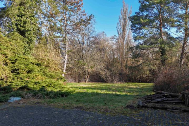 Garten Hinten 2