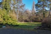 Garten Hinten 2