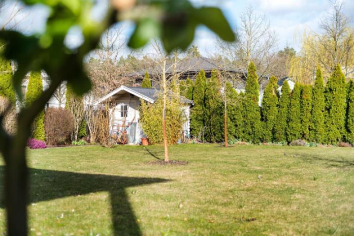 Garten