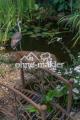 traumhafter Naturteich