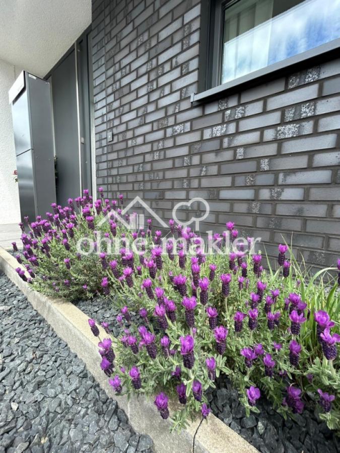 Eingangsbereich mit Lavendel