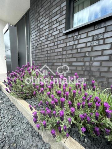 Eingangsbereich mit Lavendel