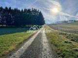 Extra-Landweg zum Haus 