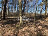 Eigener Wald zum Grundstück
