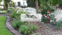 Blumenbeet