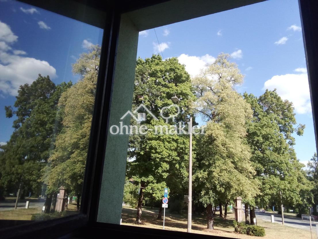 Ausblick vom Wohnzimmer