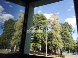 Ausblick vom Wohnzimmer