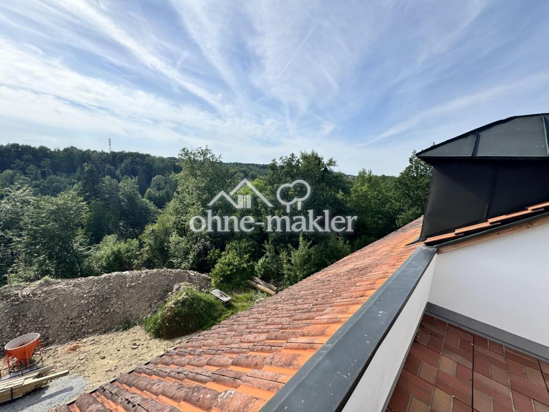 Dachterrasse (Westen)