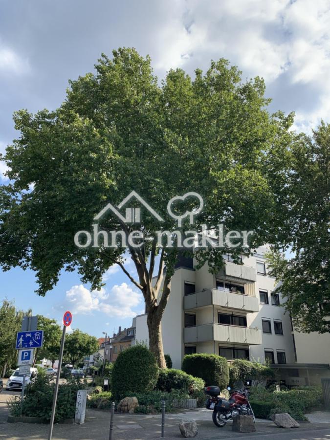 Hausfront Vorderseite